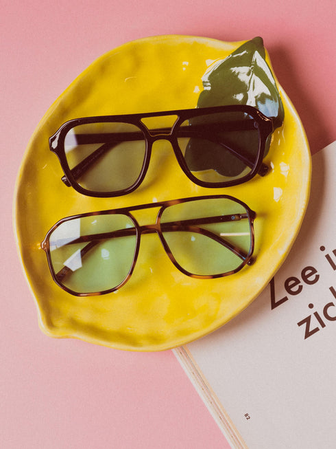Sunglasses 8070
